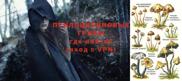 СК Нягань