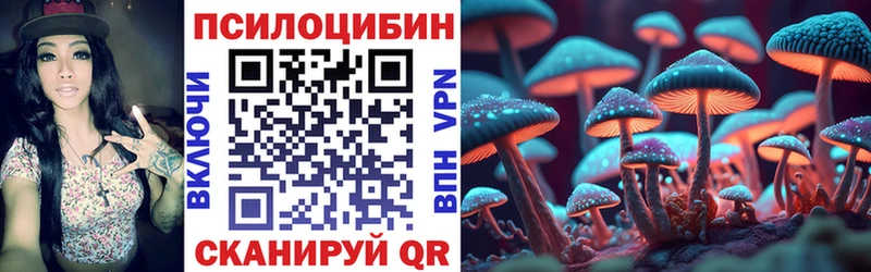 Галлюциногенные грибы Psilocybine cubensis Куйбышев